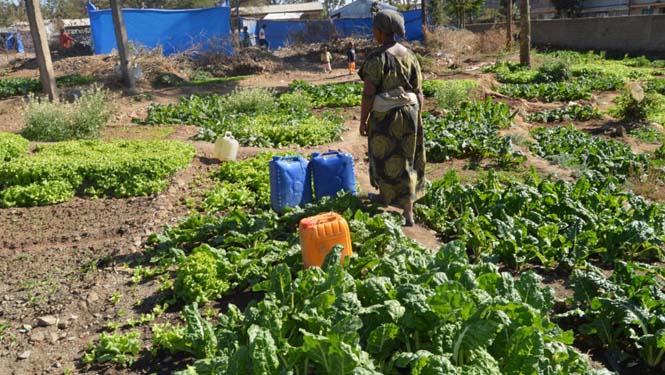 ghor to rep7 665x375